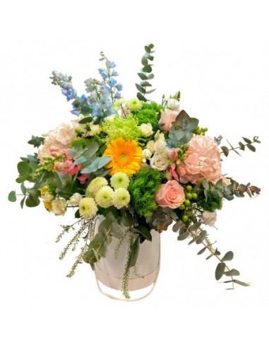 SOMBRERERA CROMçTICA