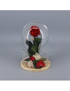 Cúpula rosa preservada
