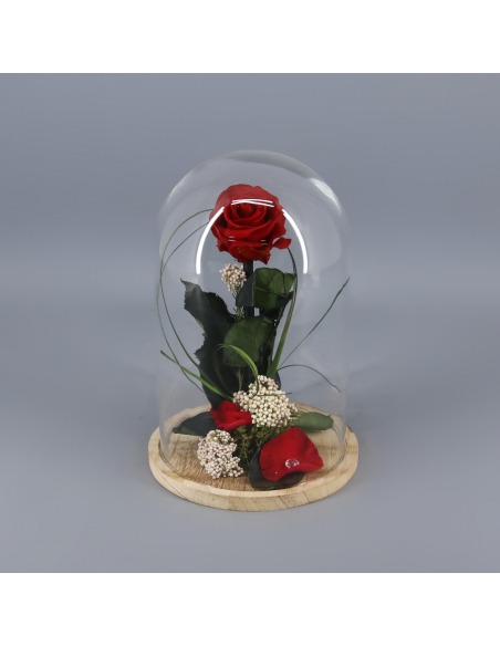 Cúpula rosa preservada