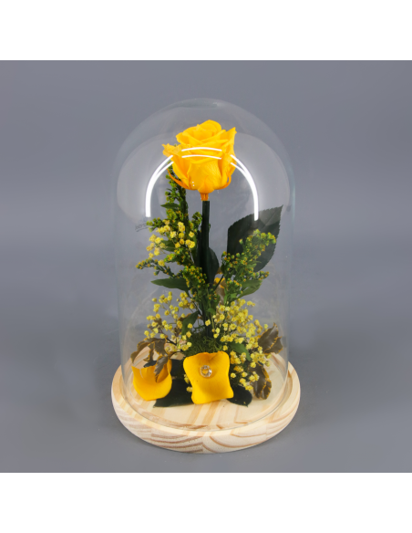 Cúpula rosa preservada