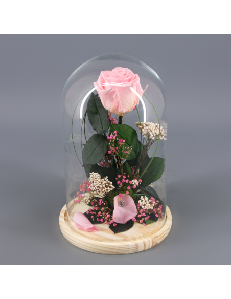 ROSA PRESERVADA EN CUPULA - Flores y ramos