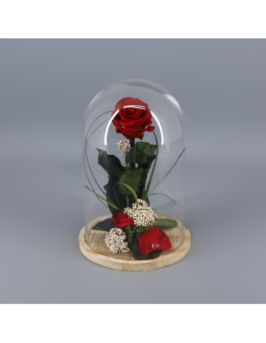 ROSA PRESERVADA EN CUPULA - Flores y ramos