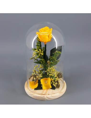 ROSA PRESERVADA EN CUPULA - Flores y ramos