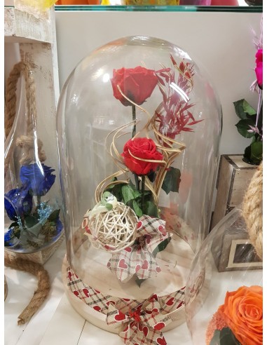 Cúpula rosa preservada