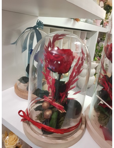 Cúpula rosa preservada