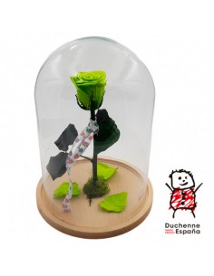 ROSA DE LA ESPERANZA DE DUCHENNE