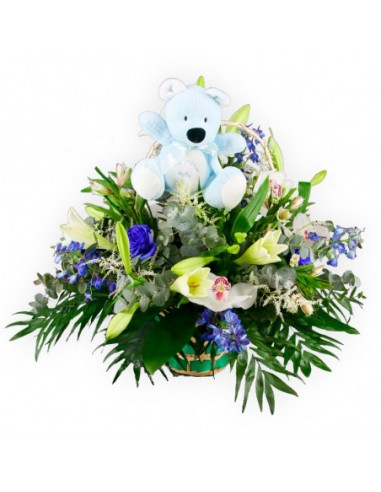 CESTA DE OSITO DE NIO